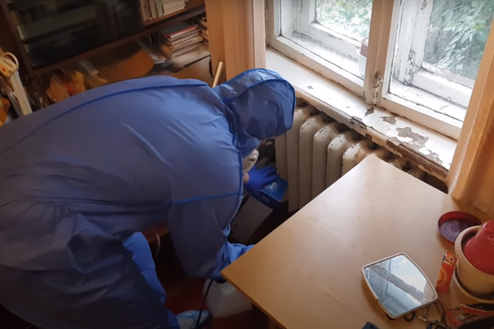 Борьба с муравьями в квартире в Москве