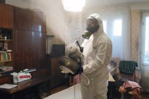 Эффективное уничтожение мух в Москве