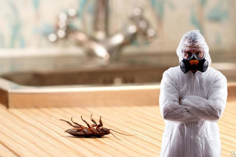 Дезинфекция помещений от тараканов в Москве